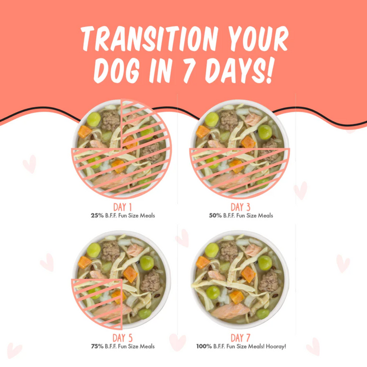 Weruva Dog Wet - BFF Best Fido Friend  We Be Jammin' with Chicken Breast, Rice, Pumpkin & Salmon