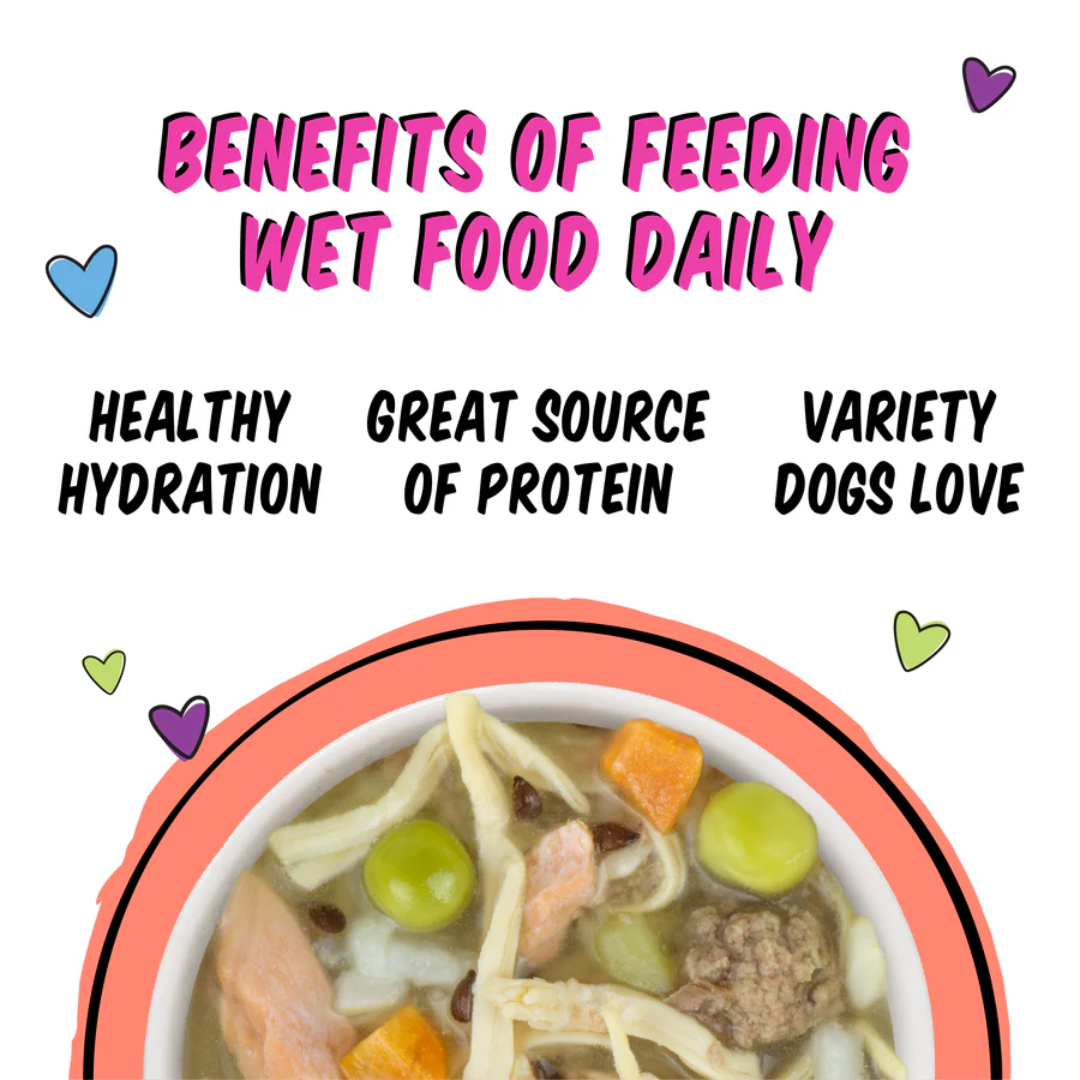 Weruva Dog Wet - BFF Best Fido Friend  We Be Jammin' with Chicken Breast, Rice, Pumpkin & Salmon