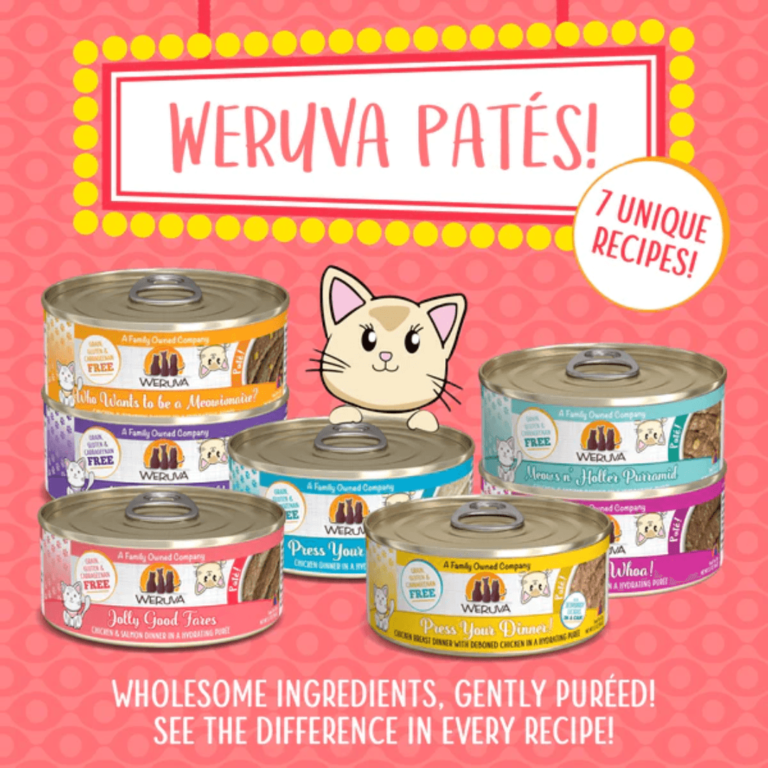 Weruva Wet Cat Food - Weruva Cat Paté Jolly Good Fares Chicken & Salmon Dinner in a Hydrating Purée Canned 