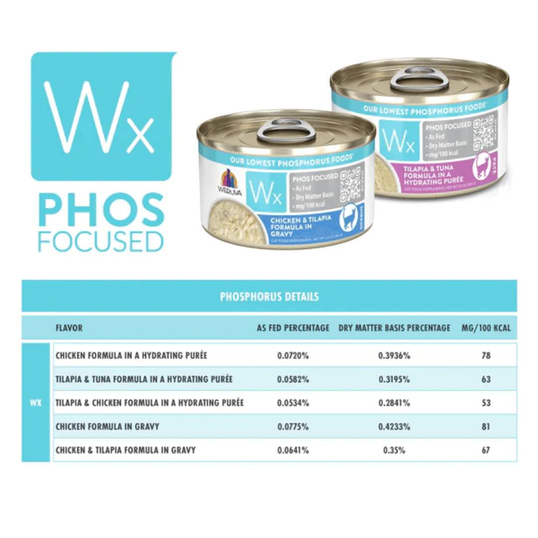 Weruva Wet Cat Food - Wx Phos Focused Chicken & Tilapia Formula Chicken & Tilapia in Gravy Canned 