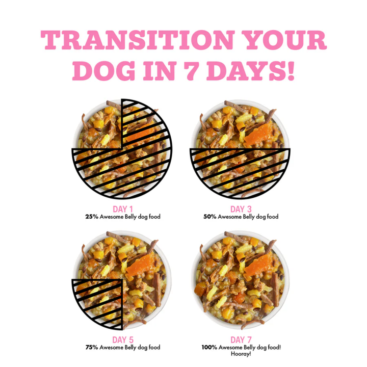 Weruva Wet Dog Food - Awesome Belly Chicken Breast, White Rice & Pumpkin Recipe In Broth Canned