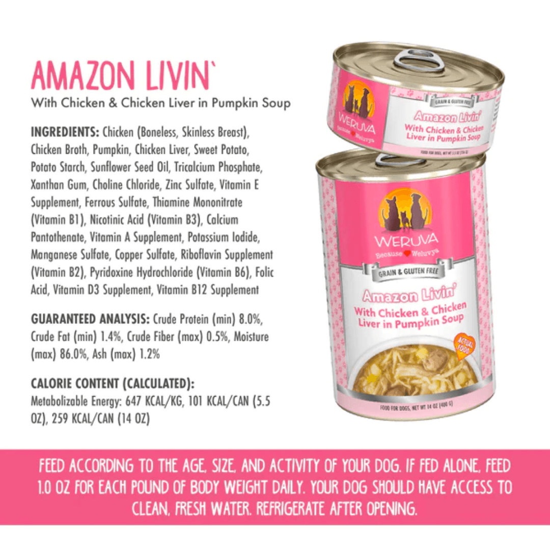 Weruva Wet Dog Food - Classics Amazon Livin' with Chicken & Chicken Liver in Pumpkin Soup Canned 