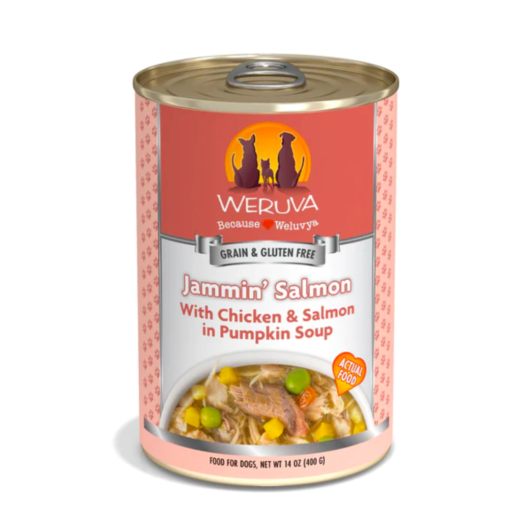 Weruva Wet Dog Food - Classics Jammin' Salmon with Chicken & Salmon in Pumpkin Soup Canned 