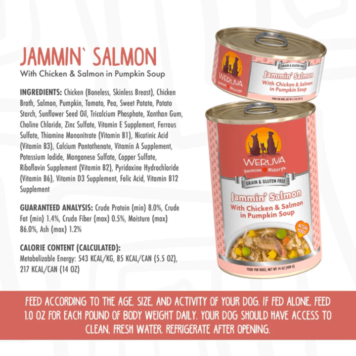 Weruva Wet Dog Food - Classics Jammin' Salmon with Chicken & Salmon in Pumpkin Soup Canned 