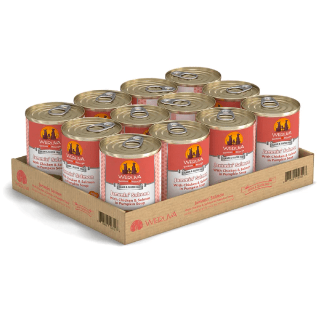 Weruva Wet Dog Food - Classics Jammin' Salmon with Chicken & Salmon in Pumpkin Soup Canned 