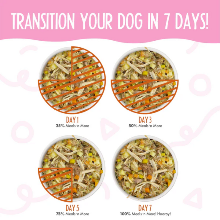 Weruva Wet Dog Food - Meals 'n More  Wok The Dog Recipe Plus with Chicken Breast, Beef and Pumpkin in Pumpkin Soup