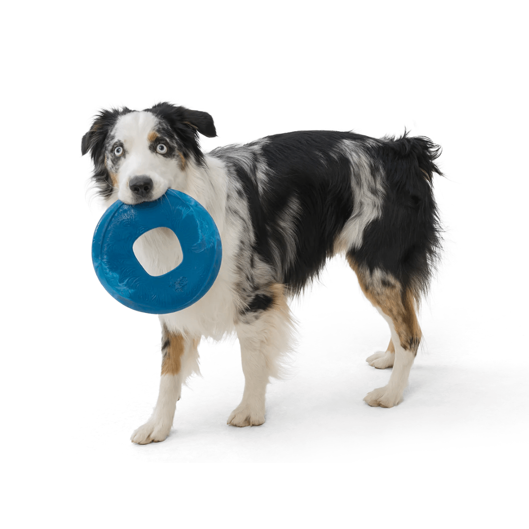 West Paw Dog Toys - Sailz Frisbee Built For Moderate Chewers 