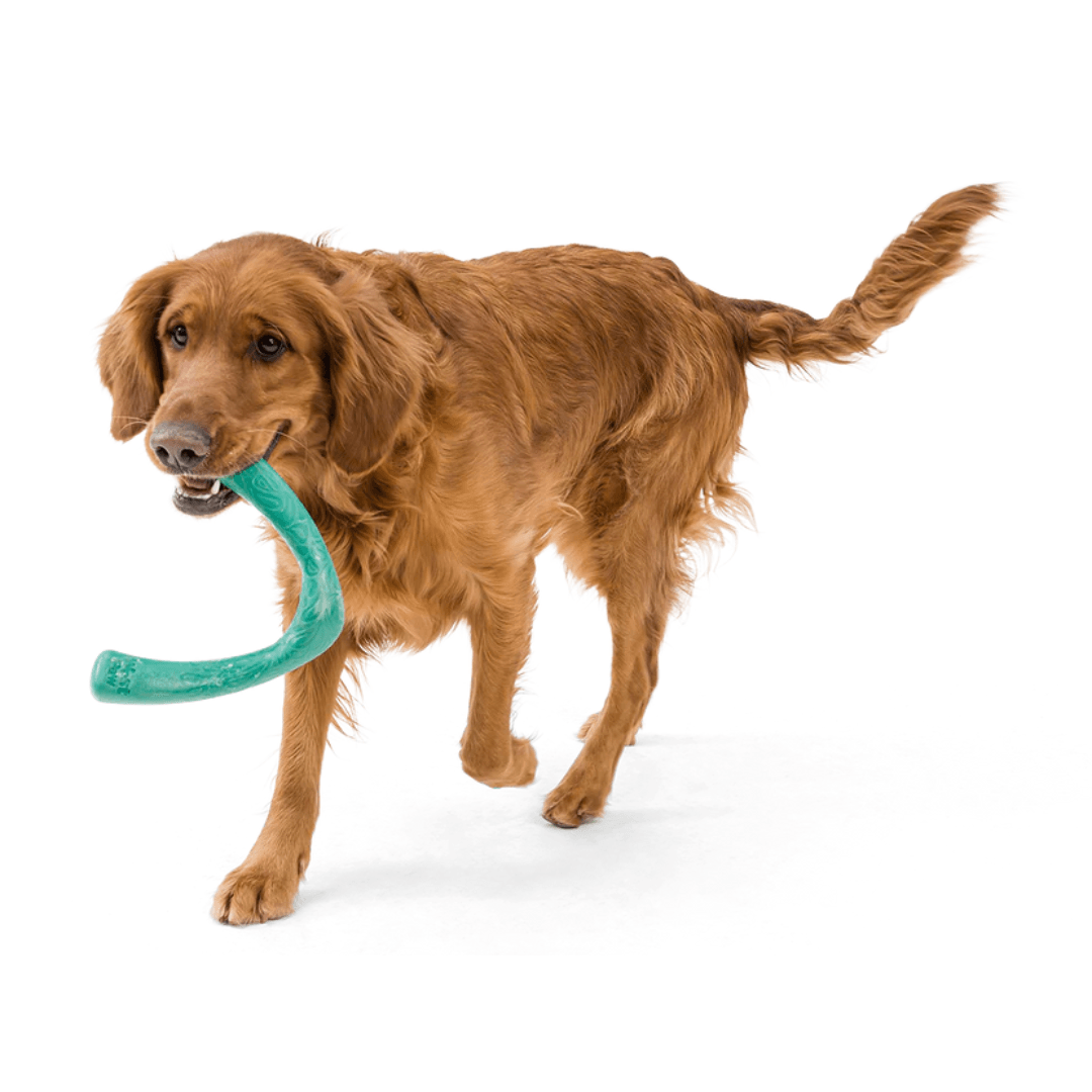 West Paw Dog Toys - Snorkl Built For Moderate Chewers 