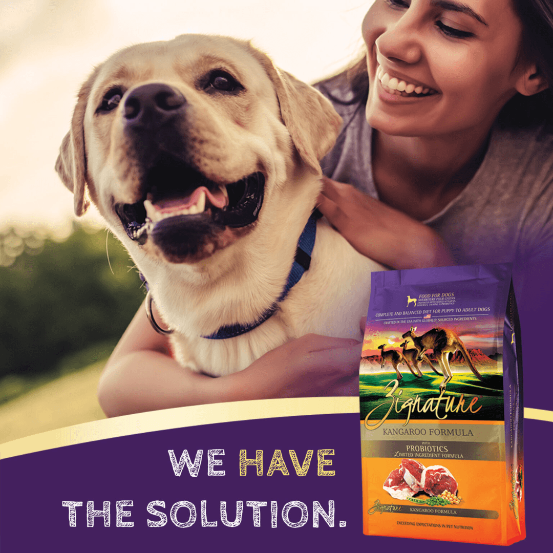 Dry Dog Food