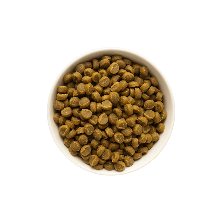 Zuke's Dog Treats - Mini Naturals Salmon 