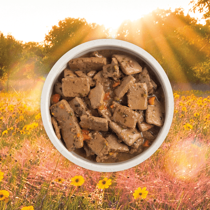 Acana Wet Dog Food - Premium Chunks Beef Recipe in Bone Broth Canned - Toronto Pets