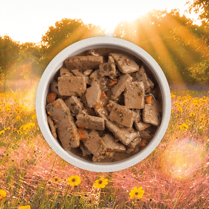 Acana Wet Dog Food - Premium Chunks Lamb Recipe in Bone Broth Canned - Toronto Pets