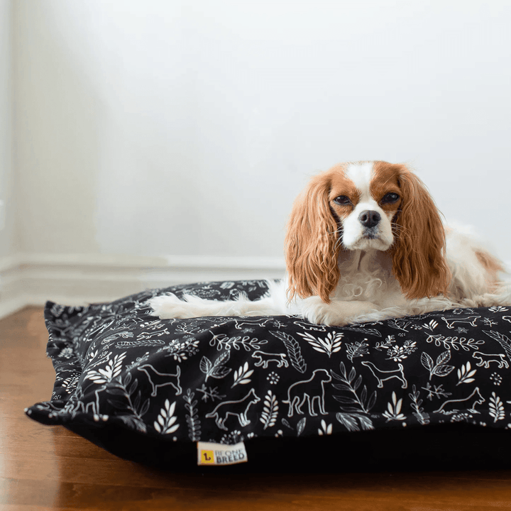 Be One Breed Pet Bed - Memory Foam Dog Cloud Pillow - Toronto Pets