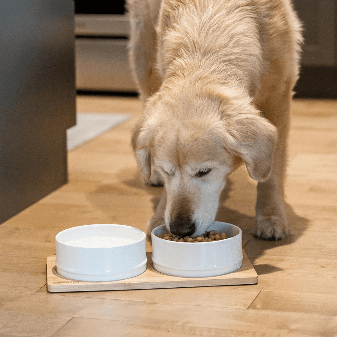 Be One Breed Pet Bowls - Bamboo & White Ceramic Bowls White - Toronto Pets