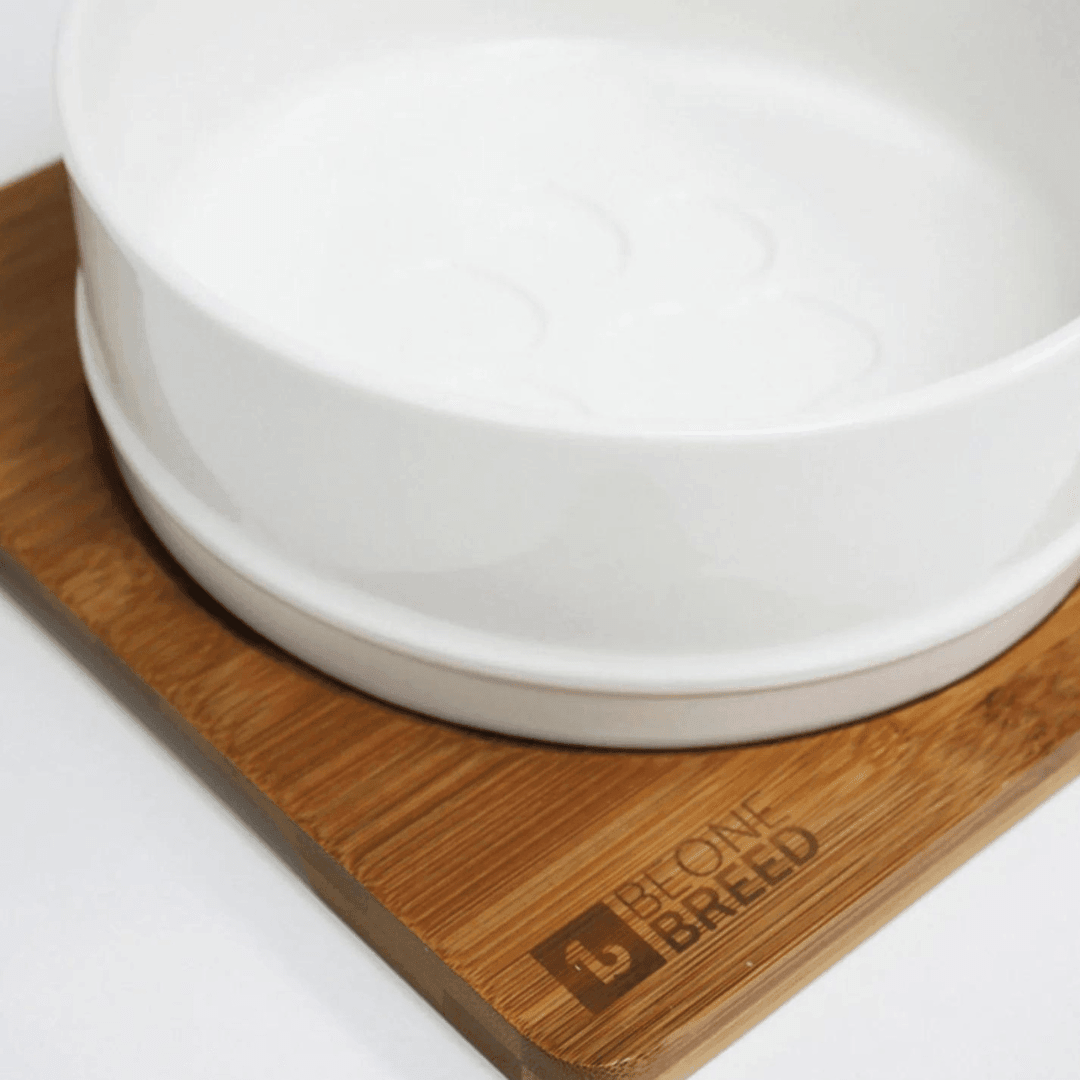 Be One Breed Pet Bowls - Bamboo & White Ceramic Bowls White - Toronto Pets