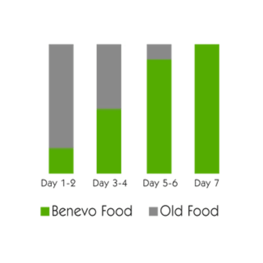 Benevo Vegan Dog Food - Adult Original - Toronto Pets