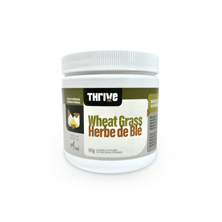 Big Country Raw Dog and Cat Supplements - Wheat Grass - Toronto Pets