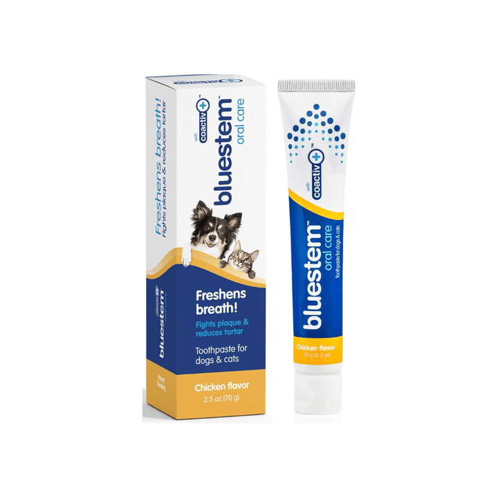 Bluestem Dog & Cat Oral Care - Chicken Flavor Toothpaste - Toronto Pets