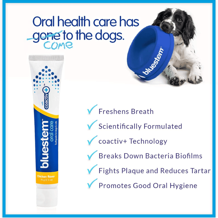 Bluestem Dog & Cat Oral Care - Chicken Flavor Toothpaste - Toronto Pets