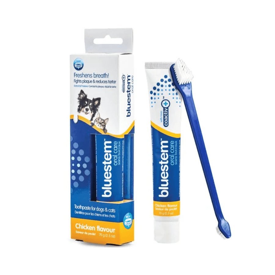 Bluestem Dog & Cat Oral Care - Chicken Flavor Toothpaste & Toothbrush - Toronto Pets