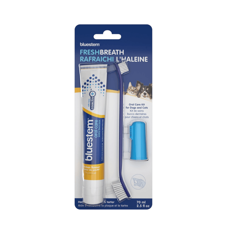 Bluestem Dog & Cat Oral Care - Oral Care Kit Chicken Flavor - Toronto Pets