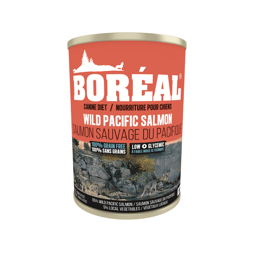 Boreal Wet Dog Food - Big Bear Wild Pacific Salmon Canned - Toronto Pets