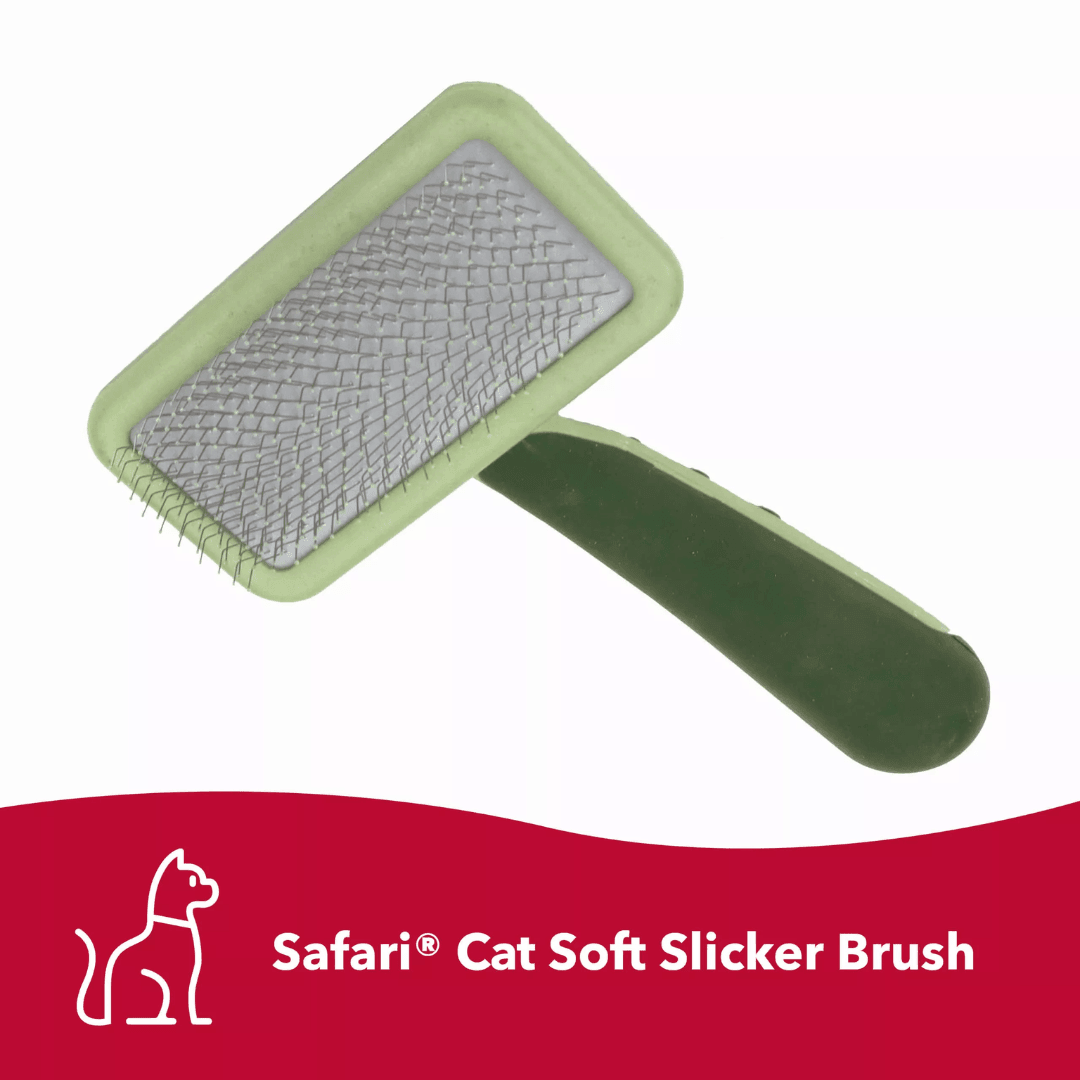 Coastal Cat Grooming Supplies - Safari Soft Slicker Brush - Toronto Pets