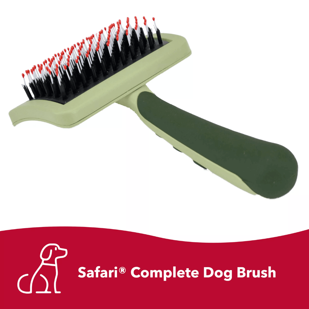 Coastal Dog Grooming Supplies - Safari Complete Brush - Toronto Pets