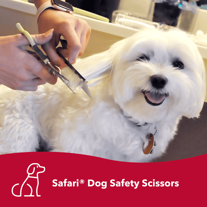 Coastal Dog Grooming Supplies - Safari Safety Scissors - Toronto Pets