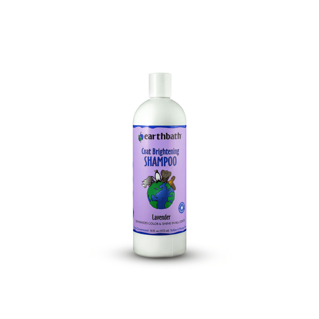 Earthbath Dog & Cat Grooming Supplies - Hypoallergenic Shea Butter Shampoo - Toronto Pets