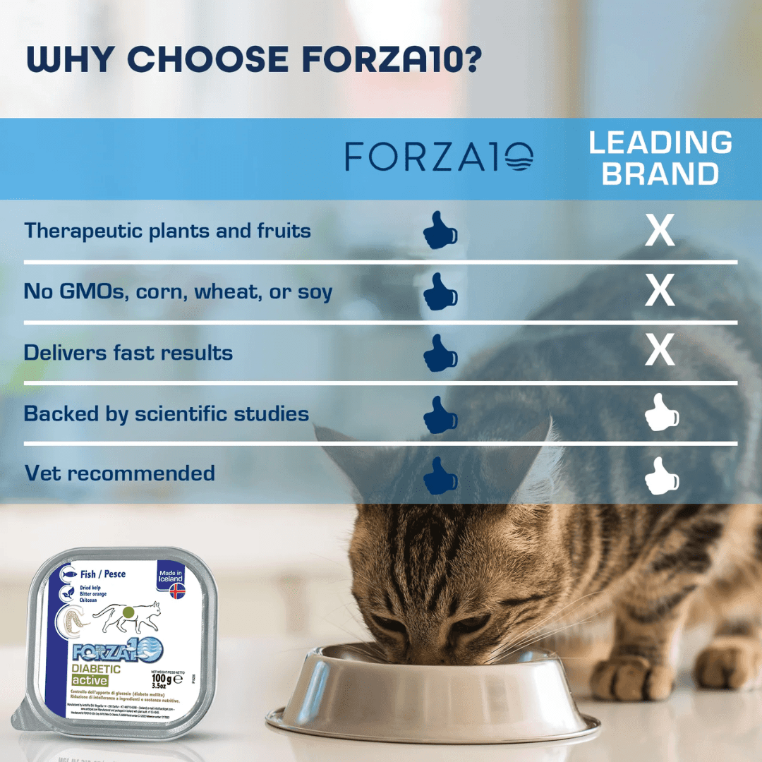 Forza10 Cat Wet - Nutraceutic Actiwet Diabetic Support Icelandic Fish Recipe Canned - Toronto Pets