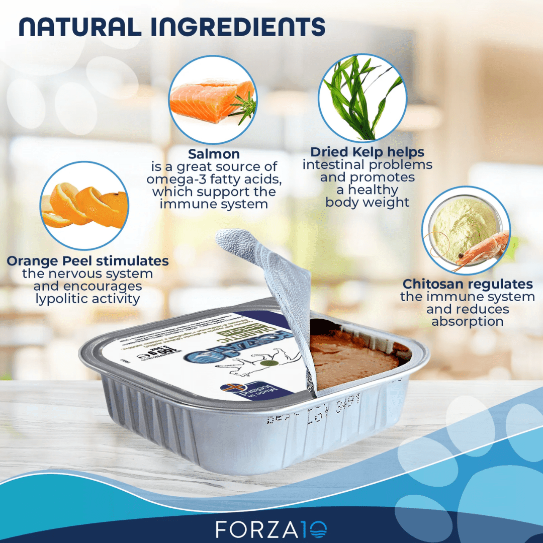 Forza10 Cat Wet - Nutraceutic Actiwet Diabetic Support Icelandic Fish Recipe Canned - Toronto Pets