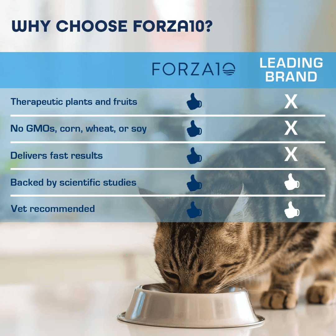 Forza10 Dry Cat Food - Nutraceutic Active Kidney Renal Support Diet - Toronto Pets