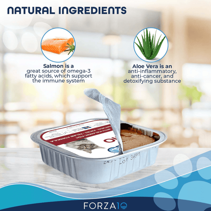 Forza10 Wet Cat Food - Nutraceutic Actiwet Dermo Support Icelandic Fish Recipe Canned - Toronto Pets