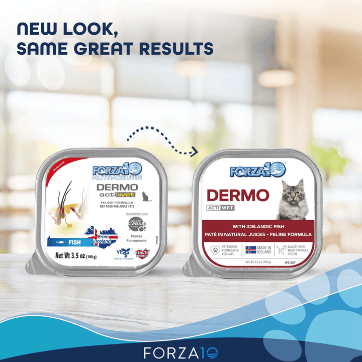 Forza10 Wet Cat Food - Nutraceutic Actiwet Dermo Support Icelandic Fish Recipe Canned - Toronto Pets