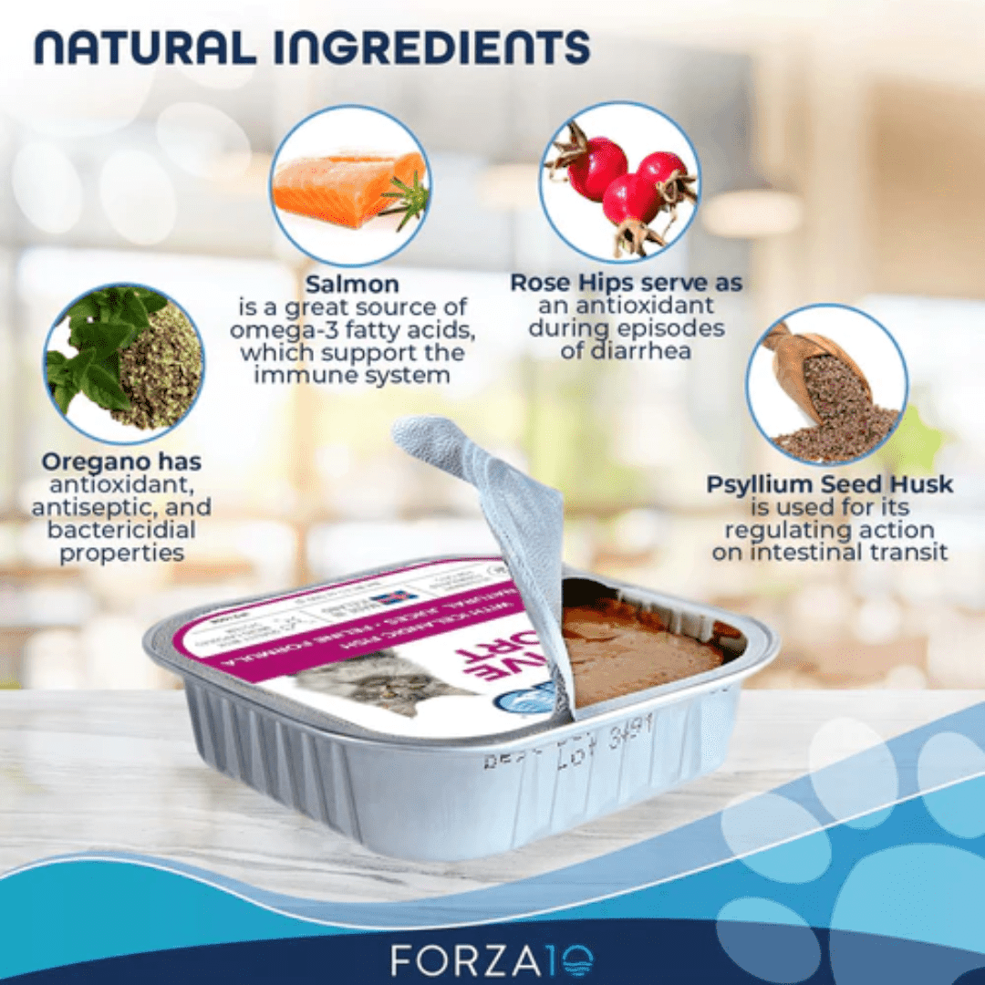 Forza10 Wet Cat Food - Nutraceutic Actiwet Digestive Support Icelandic Fish Recipe Canned - Toronto Pets