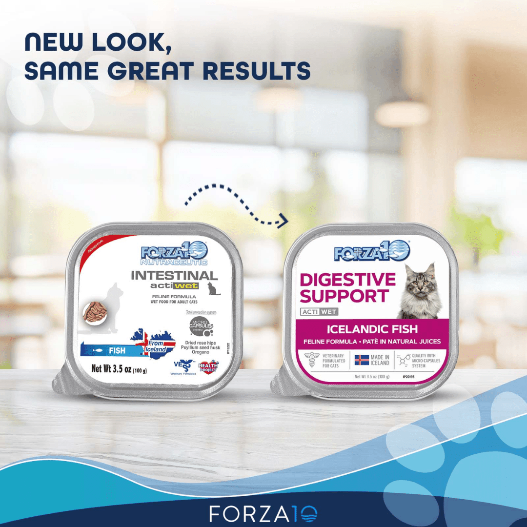 Forza10 Wet Cat Food - Nutraceutic Actiwet Digestive Support Icelandic Fish Recipe Canned - Toronto Pets