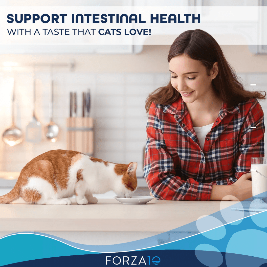 Forza10 Wet Cat Food - Nutraceutic Actiwet Digestive Support Icelandic Fish Recipe Canned - Toronto Pets