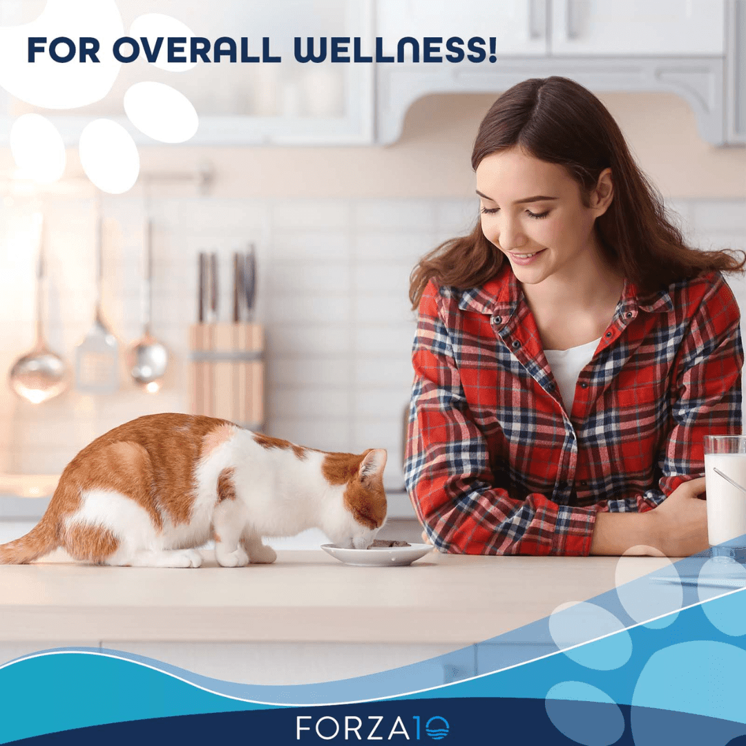 Forza10 Wet Cat Food - Nutraceutic Actiwet Hypo Lamb Canned - Toronto Pets