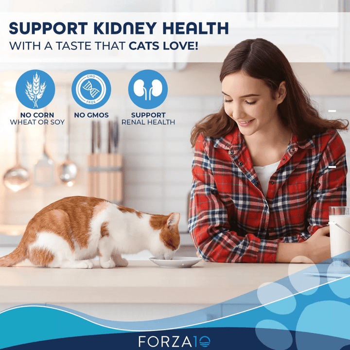 Forza10 Wet Cat Food - Nutraceutic Actiwet Renal Support Lamb Canned - Toronto Pets