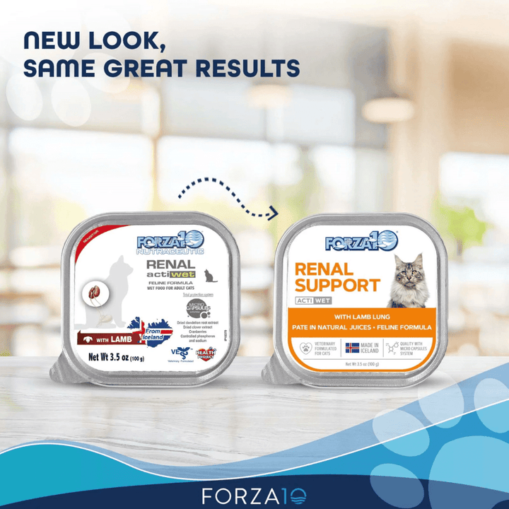 Forza10 Wet Cat Food - Nutraceutic Actiwet Renal Support Lamb Canned - Toronto Pets