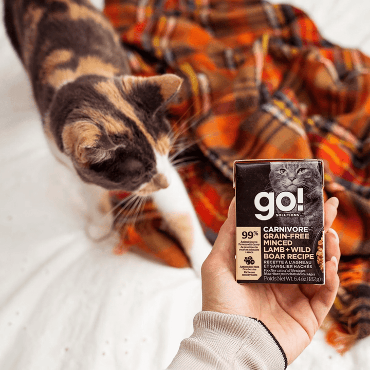 Go! Carnivore Wet Cat Food - Grain - Free Minced Lamb and Wild Boar Recipe - Toronto Pets