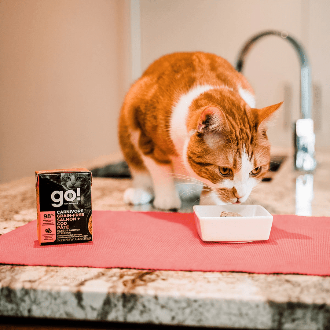 Go! Solutions Wet Cat Food - Carnivore Grain - Free Salmon and Cod Pate - Toronto Pets