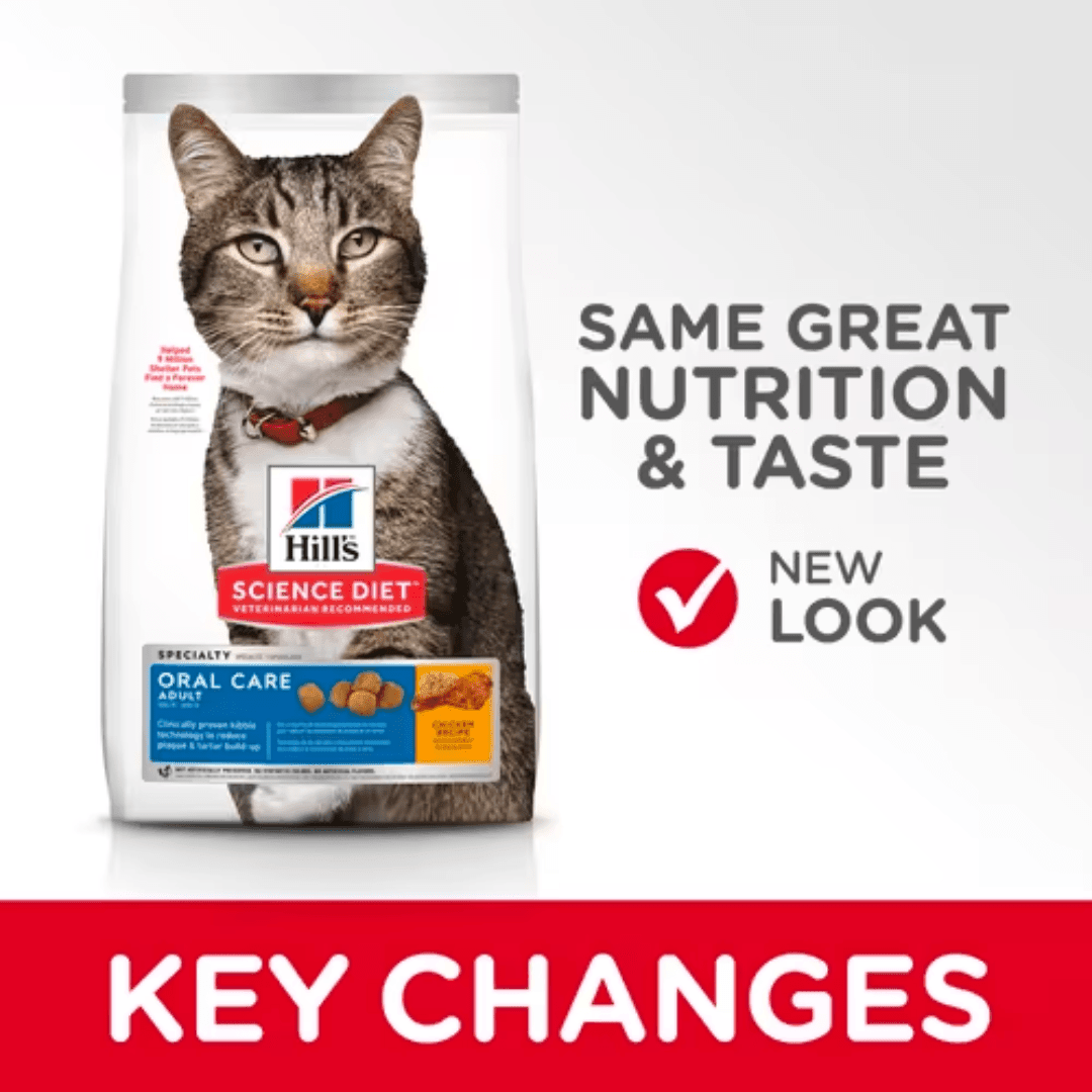 Hill's Science Diet Dry Cat Food - Adult Oral Care - Toronto Pets