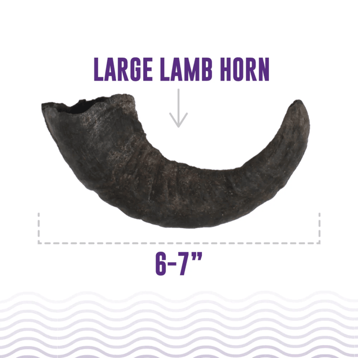 Icelandic+ Dog Treats - Lamb Horn Chews - Toronto Pets