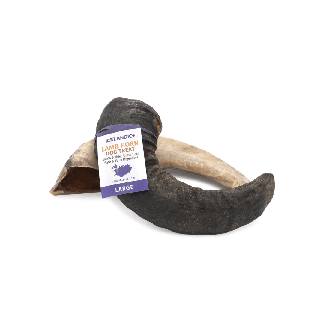 Icelandic+ Dog Treats - Lamb Horn Chews - Toronto Pets