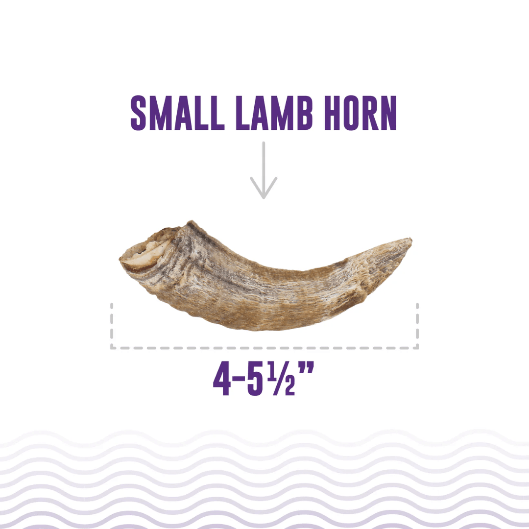 Icelandic+ Dog Treats - Lamb Horn with Marrow Chews - Toronto Pets