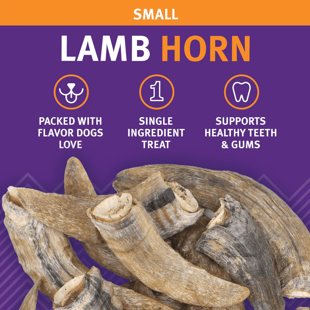 Icelandic+ Dog Treats - Lamb Horn with Marrow Chews - Toronto Pets