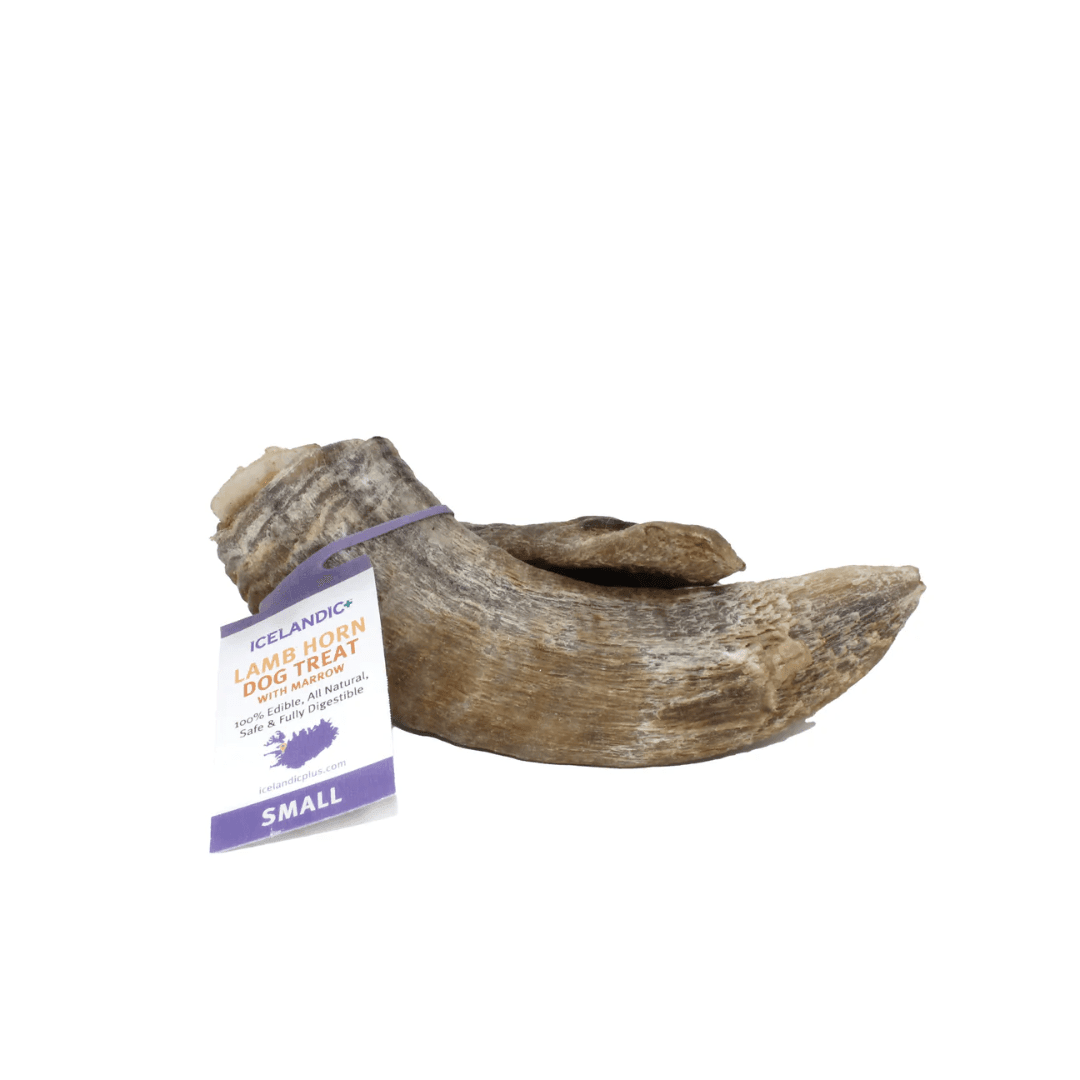 Icelandic+ Dog Treats - Lamb Horn with Marrow Chews - Toronto Pets