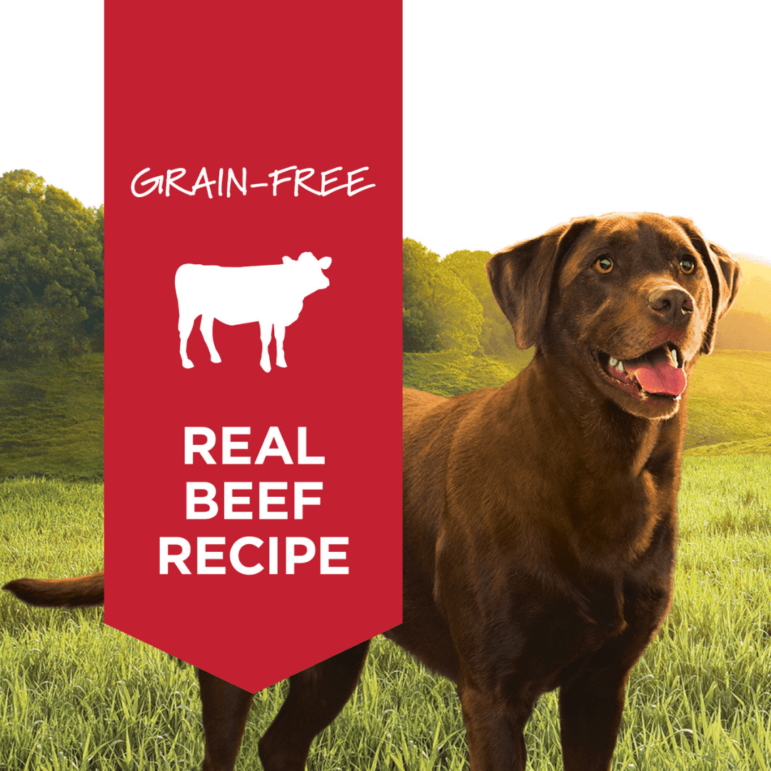 Instinct Wet Dog Food - Original Real Beef Recipe Canned - Toronto Pets